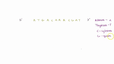 portion-of-the-template-strand-of-a-gene-provided-below-atgacaaacgat-answer-the-following-questions-about-this-dna-template-a-provide-the-sequence-of-the-portion-of-the-mrna-that-would-be-pr-91258
