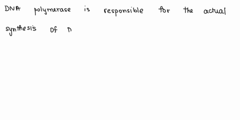 the-actual-synthesis-of-dna-coli-the-function-of-polymerase-iii-actually-complex-containing-list-below-nucleic-acid-usually-expressed-in-the-by-convention-the-sequence-of-bases-in-the-discov-23113