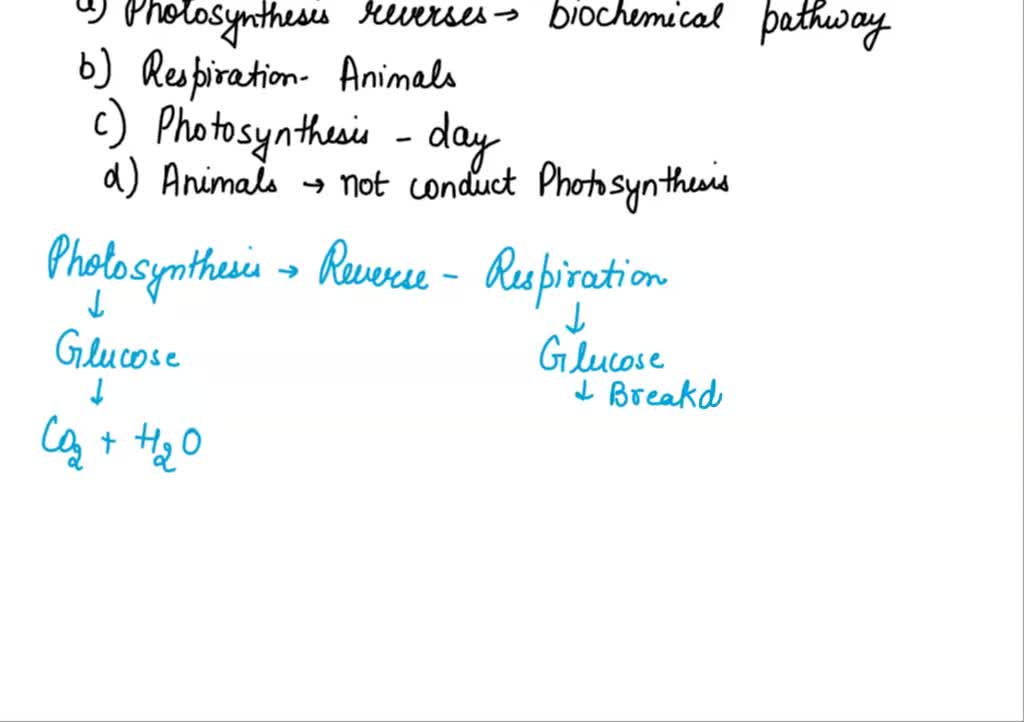 SOLVED: Which one of the following statements BEST represents the  relationship between cellular respiration and photosynthesis?Respiration  occurs only in animals and photosynthesis occurs only in   reverses the biochemical pathways ...