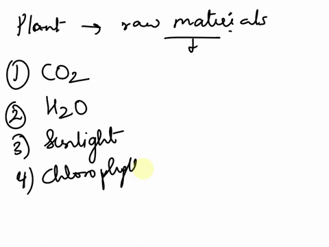where-do-plants-get-each-of-the-raw-materials-required-for-photosynthesis-tell-me-in-brief-by-point-wise-90506
