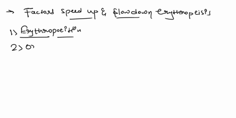 what-are-the-factors-that-speeds-and-slows-down-erythropoiesis-explain-00023