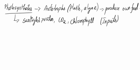 the-process-of-photosynthesis-converts-which-type-of-energy-to-chemical-energy-83219