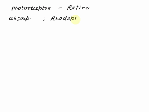 a-rod-cell-in-the-retina-exposed-to-light-will-____-a-undergo-a-depolarization-that-will-decrease-its-release-of-glutamate-b-undergo-a-depolarization-that-will-increase-its-release-of-glutam-57422