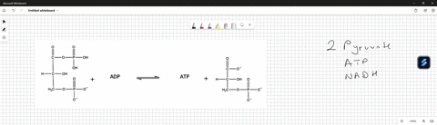 what-is-the-enzyme-that-catalyzes-this-reaction-oh-oh-oh-adp-atp-h_c_oh-hzc-hzc_0-triose-phosphate-isomerase-b-glyceraldehyde-3-phosphate-dehydrogenase-aldoase-d-phosphoglycerate-mutase-phos-19717