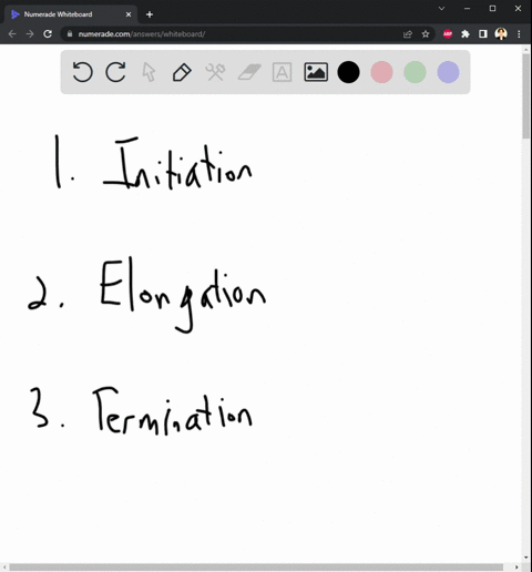 briefly-summarize-what-3-steps-occur-in-dna-replication-48415