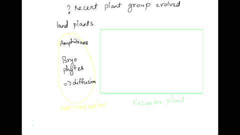 which-plant-group-is-the-most-recent-to-have-evolved-bryophytes-ferns-angiosperms-gymnosperms-31984