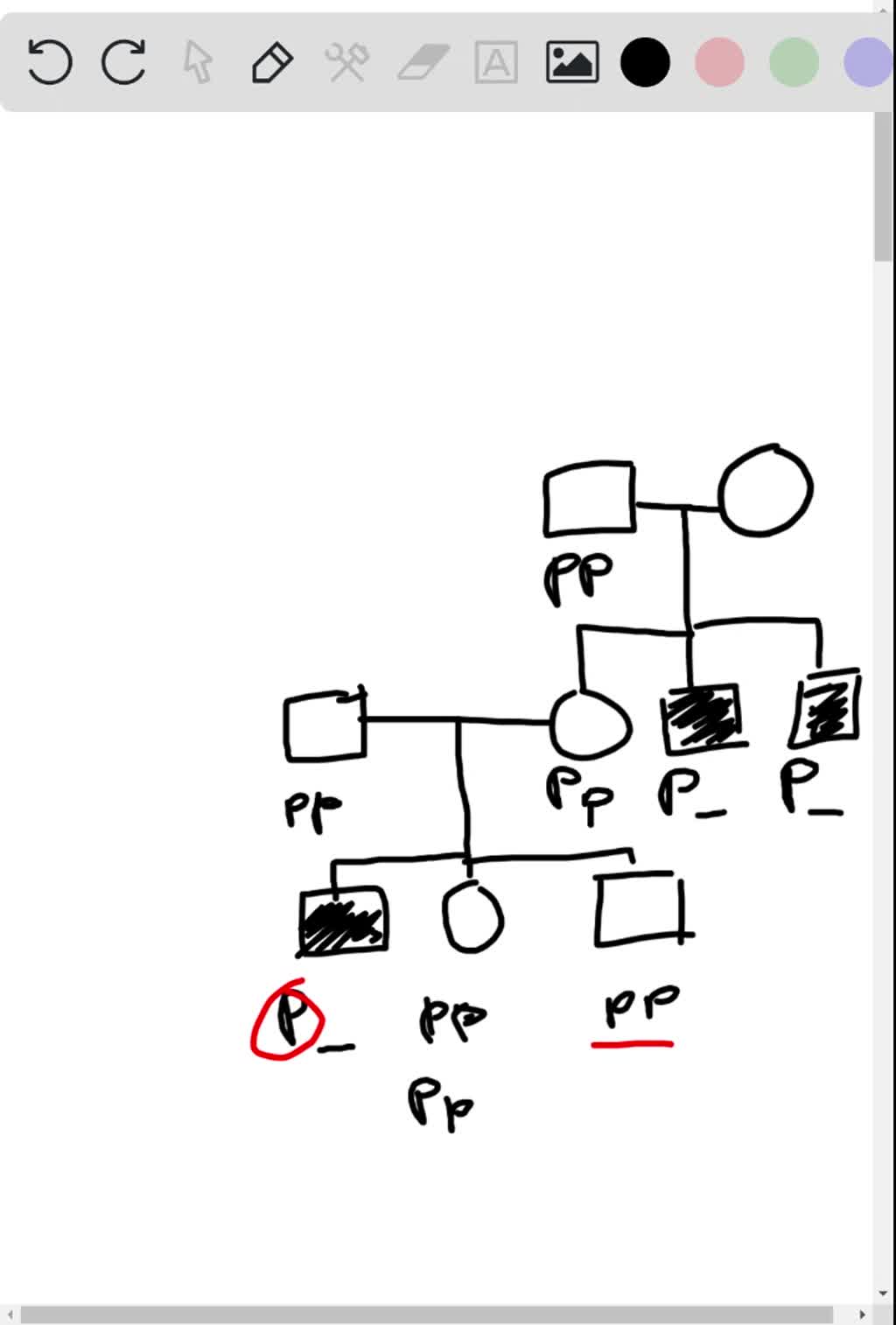 Solved: Male-limited Precocious Puberty Results From A Rare, Sex 