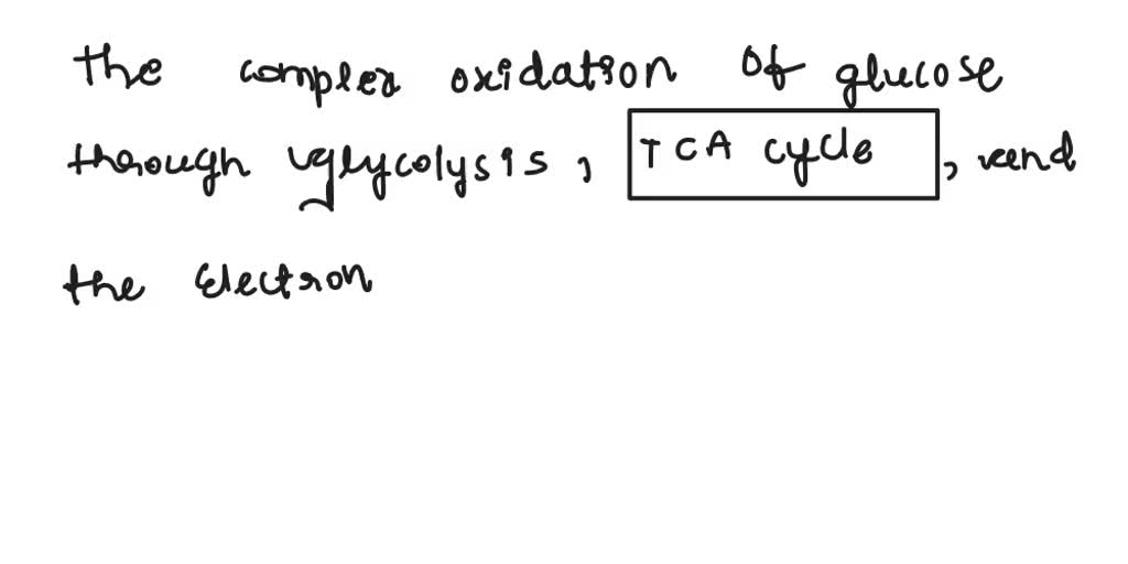 SOLVED Calculate the energetics of glucose when it is completely