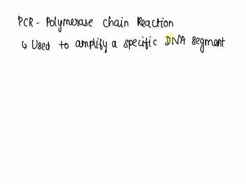 question-3-025-pts-when-running-an-e-gel-to-visualize-a-pcr-product-we-can-see-bands-on-the-gel-because-there-are-dna-no-millions-of-copies-of-1000-copies-of-10-copies-of-63068