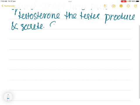 explain-the-regulation-of-testosterone-secretion-03974