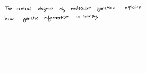 define-and-explain-how-the-central-dogma-of-molecular-genetics-illustrates-the-process-by-which-hereditary-genotype-becomes-hereditary-phenotype-in-an-organism-include-3-processes-involved-i-90852