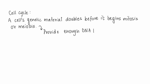 dna-replication-occurs-during-which-phase-of-the-eukaryotic-cell-cycle-s-phase-g1-phase-g2-phase-m-phase-81242