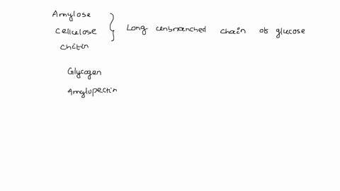 ch3-chn-_chz_chz-cl-ch-b_-h-ch-n-_chz_chz-cl-ch-h-ch-n-ch-br-h-ch3-ch-chz-ch2-n_ch-br-chz-89202