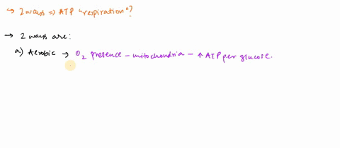 describe-the-2-ways-atp-can-be-made-during-respiration-37275