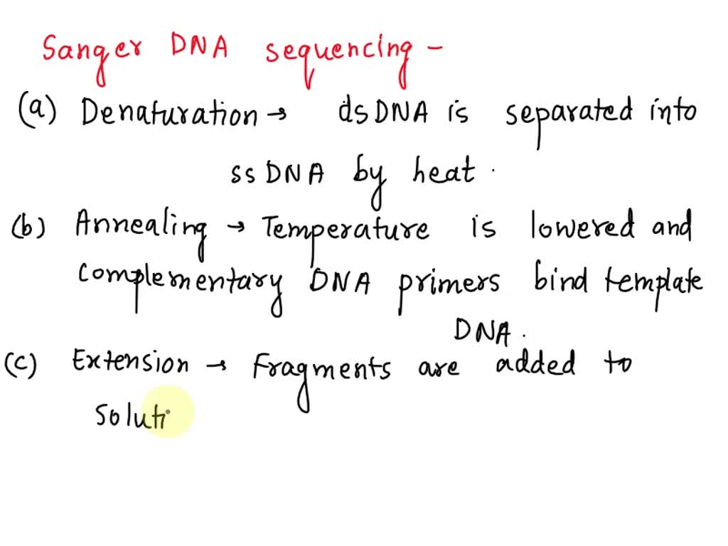 SOLVED: 1. You performed DNA sequencing using the Sanger (dideoxy ...
