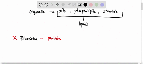 which-type-of-organelle-is-primarily-involved-in-the-synthesis-of-oils-phospholipids-and-steroids-a-b-ribosome-c-lysosome-d-smooth-endoplasmic-reticulum-e-mitochondrion-f-contractile-vacuole-90456