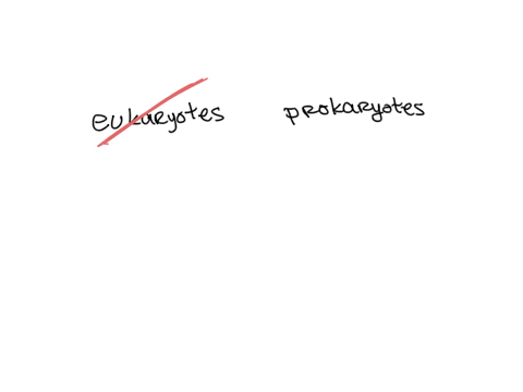 peptidoglycan-is-a-unique-feature-of-the-___-choose-all-answers-that-fit-group-of-answer-choices-bacteria-prokaryotes-archeans-eukaryotes-76339