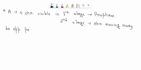 indicate-which-thc-following-diagrams-represent-mitosis-and-which-represents-melosis-name-which-phase-mitosis-or-meiosis-is-represented-by-numbers-throuah-note-not-all-the-phases-are-necessa-02935
