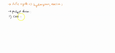 give-the-order-for-the-life-cycle-of-the-hydrozoan-obelia-starting-with-the-polyp-form-1-2-3-4-5-6-growth-into-mature-polyp_____-cells-grow-into-planula______-reproductive-polyps-form______-10092