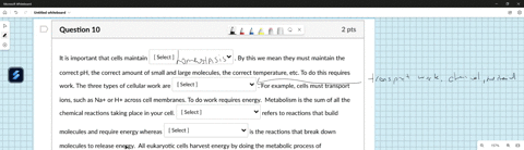 question-10-2-pts-it-is-important-that-cells-maintain-select-by-this-we-mean-they-must-maintain-the-correct-ph-the-correct-amount-of-small-and-large-molecules-the-correct-temperature-etc-to-42362