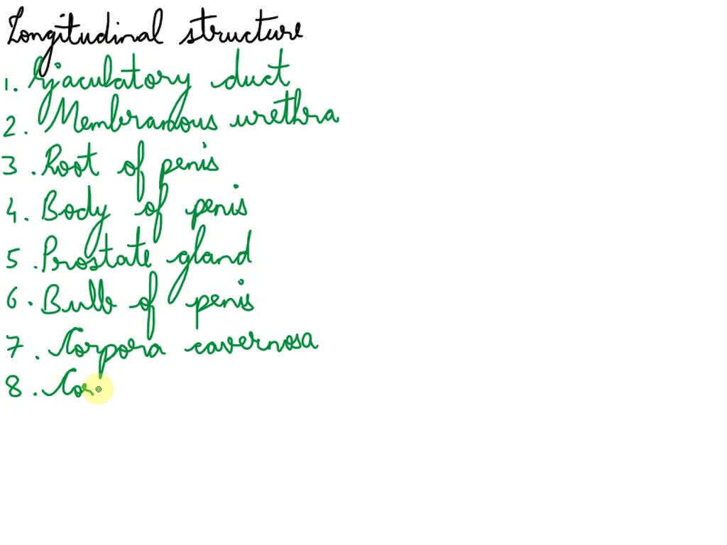 SOLVED The structures of the penis in Figure 12.3 by Gilling in the