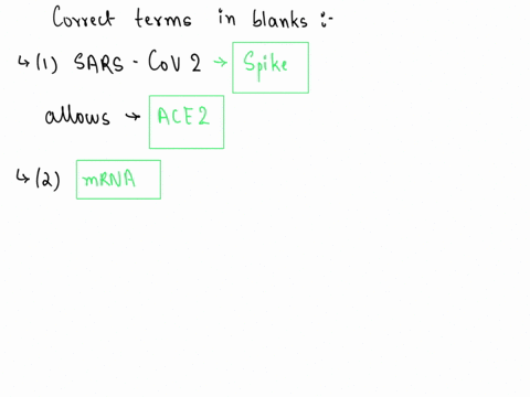 drag-the-correct-terms-into-the-blanks-constuct-paragraph-that-explalns-the-mechanisms-and-effectiveness-of-the-mrna-and-dna-vaccines-used-t0-prevent-covid-19-oru-aldule-the-sars-cov-2-vinus-88382