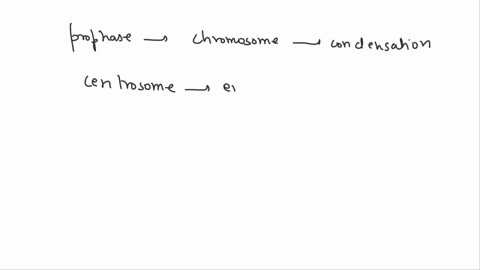 Write a short notes on prophase with examples 50073