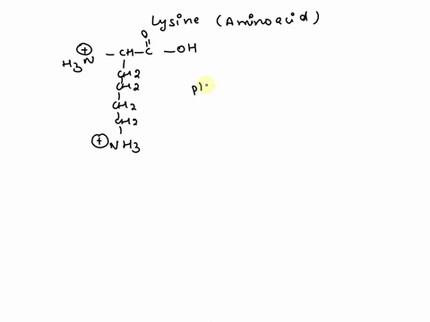 all-amino-acids-have-two-ionizable-functional-groups-an-a-amino-group-average-pkapka-of-94-and-an-a-carboxylic-acid-group-average-pkapka-of-22-lysine-also-has-an-ionizable-side-chain-r-group-45889