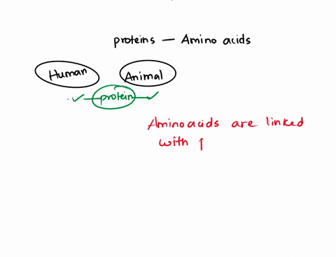 all-proteins-are-made-up-of-the-same-amino-acids-amino-acids-then-how-proteins-found-in-human-beings-and-animals-may-be-different-from-those-of-other-45218
