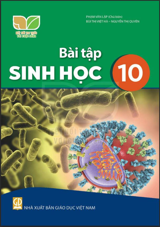 Sinh Lớp 10 Bài 10: Khám Phá và Nắm Vững Kiến Thức Chuyên Sâu