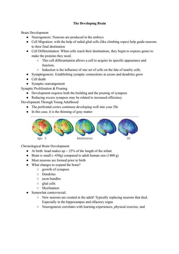 SOLVED Which of the following shows the six stages of neural