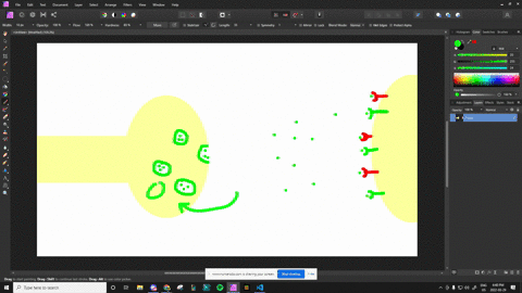 the-effects-of-a-neurotransmitter-could-be-increased-by-_______-a-increasing-the-number-of-receptors