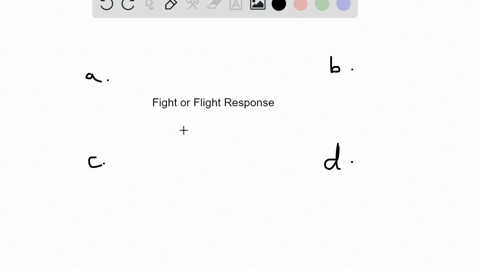 which-of-the-following-responses-s-not-part-of-the-fight-or-flight-response-a-pupil-dilation-b-incre