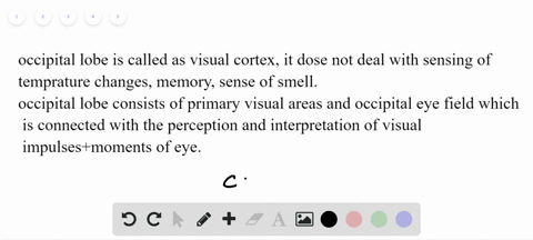 different-components-of-the-brain-control-different-parts-of-the-body-one-important-part-of-the-brai