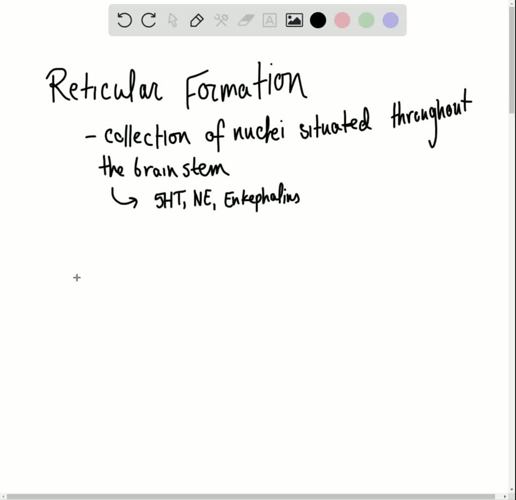 solved-where-is-the-reticular-formation-found-define-reticular