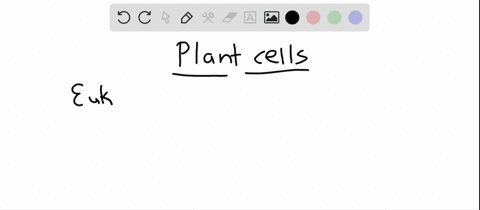 which-is-present-in-both-prokaryotic-cells-and-in-eukaryotic-plant-cells-a-chloroplasts-b-cell-walls