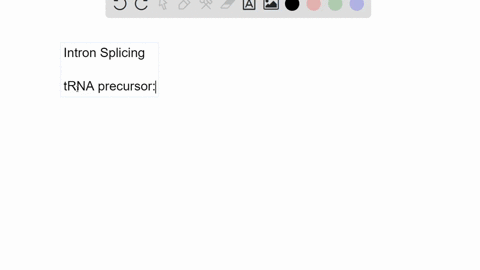how-do-the-mechanisms-by-which-the-introns-of-trna-precursors-tetrabymena-rrna-precursors-and-nuclea