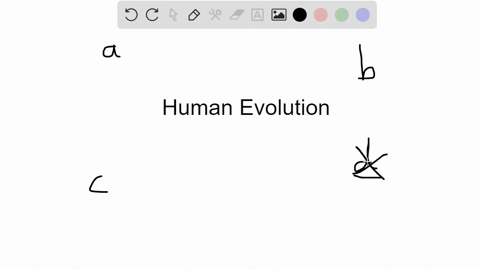 which-of-the-following-statements-is-not-true-a-a-single-evolutionary-line-led-from-ardipithecus-ram