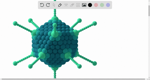 which-organisms-does-this-virus-infect-a-humans-b-bacteria-mathbfc-plants-d-fungi
