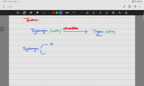explain-why-chymotrypsin-is-not-self-activating-as-is-trypsin