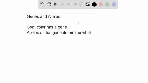 select-the-correct-terms-the-gene-allele-for-coat-color-has-two-genes-alleles-one-for-brown-coloring