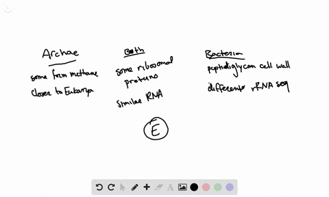Is Archaea Autotrophic or Heterotrophic or Both? The Science Explained! Solved:archaea are distinct from bacteria because a. some archaea form