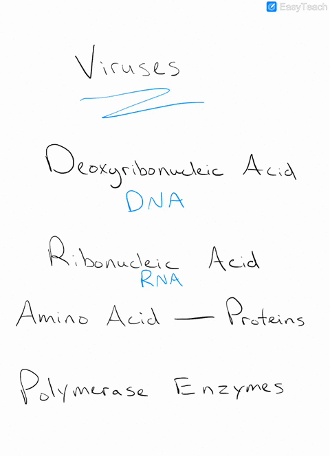 the-genetic-information-in-all-viruses-is-a-dna-b-rna-c-protein-d-polymerase-enzymes-e-dna-or-rna
