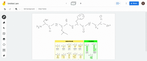 chymotrypsin-is-an-enzyme-that-cleaves-peptide-bonds-specifically-targeting-the-peptide-bond-at-the-