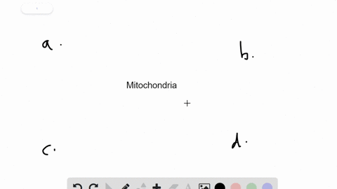 mitochondria-are-descendants-of-______-a-methanogenic-archaea-b-aerobic-bacteria-c-cyanobacteria-d-g