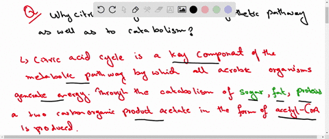 why-is-the-citric-acid-cycle-central-to-biosynthetic-pathways-as-well-as-to-catabolism-2