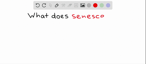senescence-refers-to-a-plant-aging-b-reproductive-growth-c-pollination-d-the-accumulation-of-storage