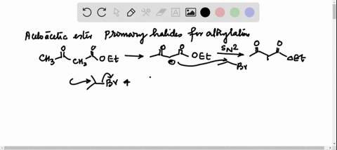 the-acetoacetic-ester-synthesis-generally-gives-best-yields-when-primary-halides-are-used-in-the-alk