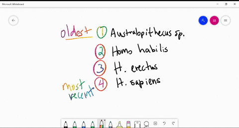 put-the-following-list-of-species-in-order-from-the-oldest-to-the-most-recent-homo-erectus-australop