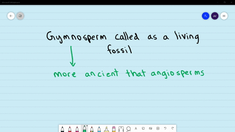 gymnosperm-called-as-a-living-fossil-is-a-cycas-b-ginkgo-c-juniperus-d-both-a-and-b